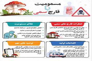 info (9)